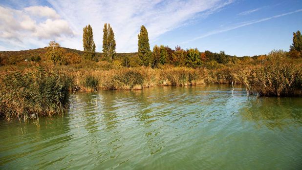 Kilátás a stégről. Itt lehet etetni, horgászni. A vízmélység 1,80 méter