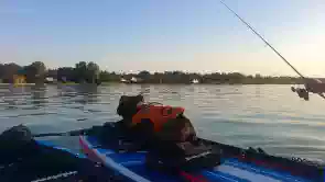 Fürdőzés a Balatonnál kutyussal, saját vízparton